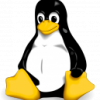 Kali Linux VPN Client? - last post by datr1xa